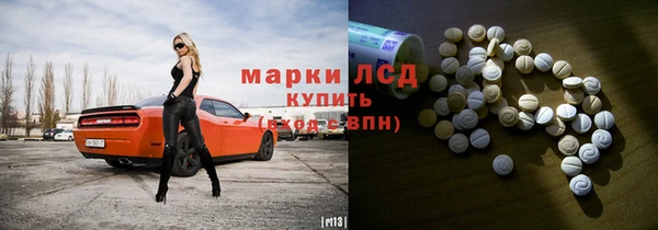 стафф Аркадак