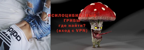метадон Армянск