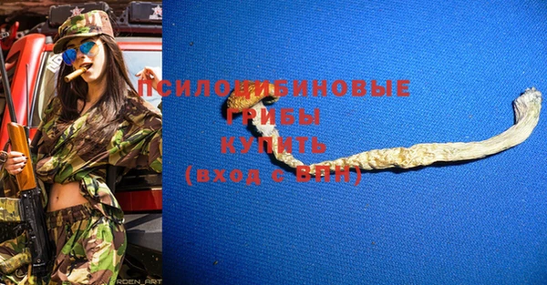 mdpv Ельня